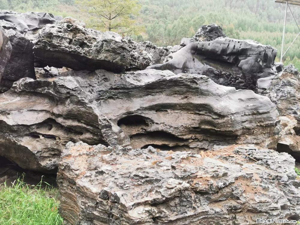 风景石、假山石大量有货，有需要的欢迎联系 - 新手上路 - 贵阳生活社区 - 贵阳28生活网 gy.28life.net