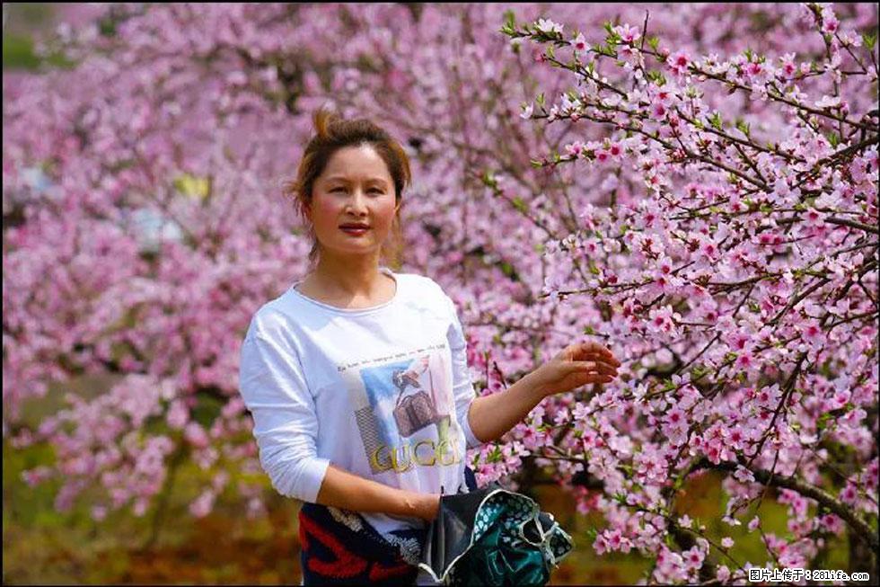 【春天，广西桂林灌阳县向您发出邀请！】官庄村有个醉美的桃花园 - 游山玩水 - 贵阳生活社区 - 贵阳28生活网 gy.28life.net