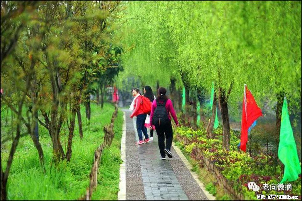 【春天，广西桂林灌阳县向您发出邀请！】江口老街又逢春 - 游山玩水 - 贵阳生活社区 - 贵阳28生活网 gy.28life.net