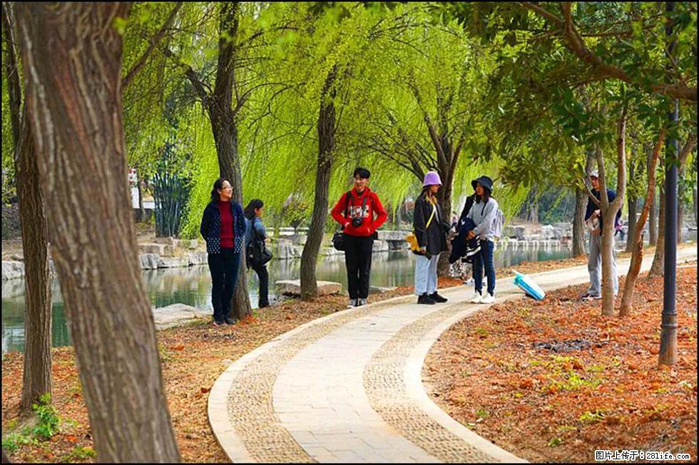 【春天，广西桂林灌阳县向您发出邀请！】江口老街又逢春 - 游山玩水 - 贵阳生活社区 - 贵阳28生活网 gy.28life.net
