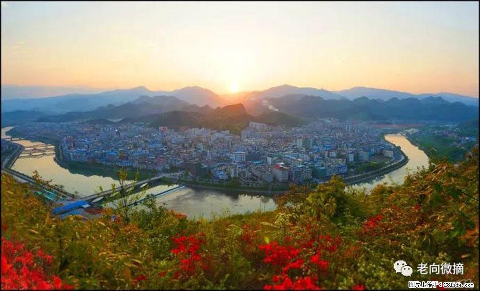 【春天，广西桂林灌阳县向您发出邀请！】登麒麟山，相约映山红 - 游山玩水 - 贵阳生活社区 - 贵阳28生活网 gy.28life.net