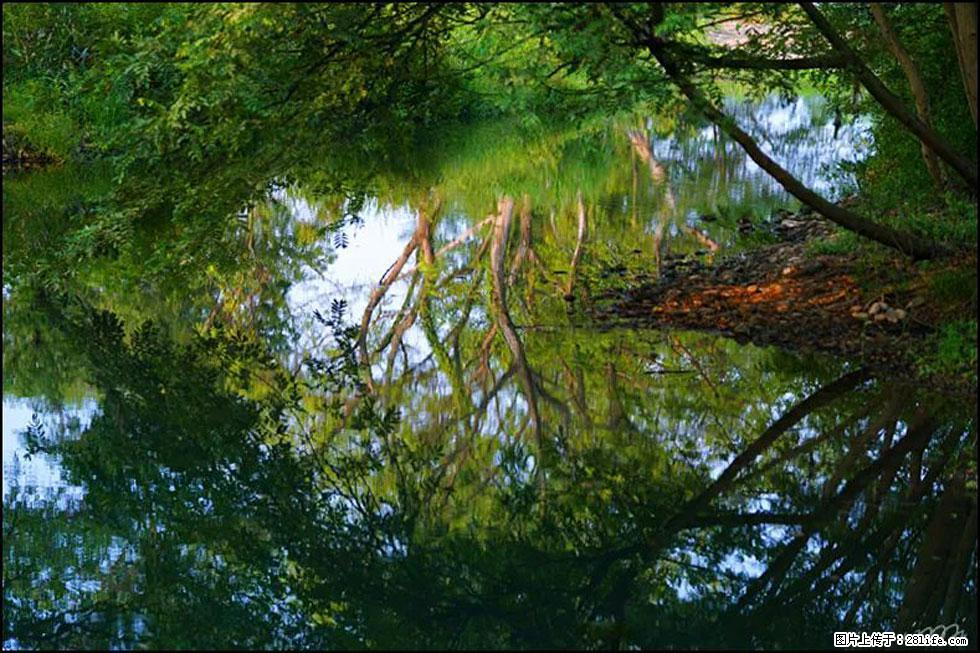【春天，广西桂林灌阳县向您发出邀请！】熊家寨湿地公园 - 游山玩水 - 贵阳生活社区 - 贵阳28生活网 gy.28life.net