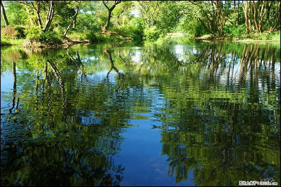 【春天，广西桂林灌阳县向您发出邀请！】熊家寨湿地公园 - 游山玩水 - 贵阳生活社区 - 贵阳28生活网 gy.28life.net