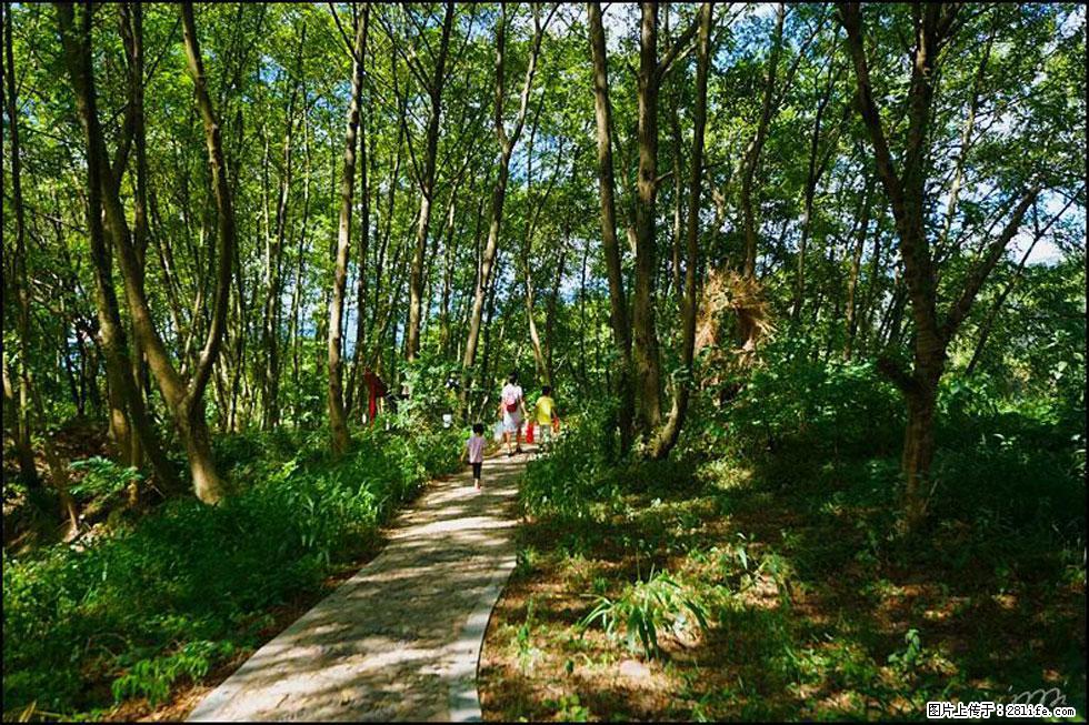 【春天，广西桂林灌阳县向您发出邀请！】熊家寨湿地公园 - 游山玩水 - 贵阳生活社区 - 贵阳28生活网 gy.28life.net
