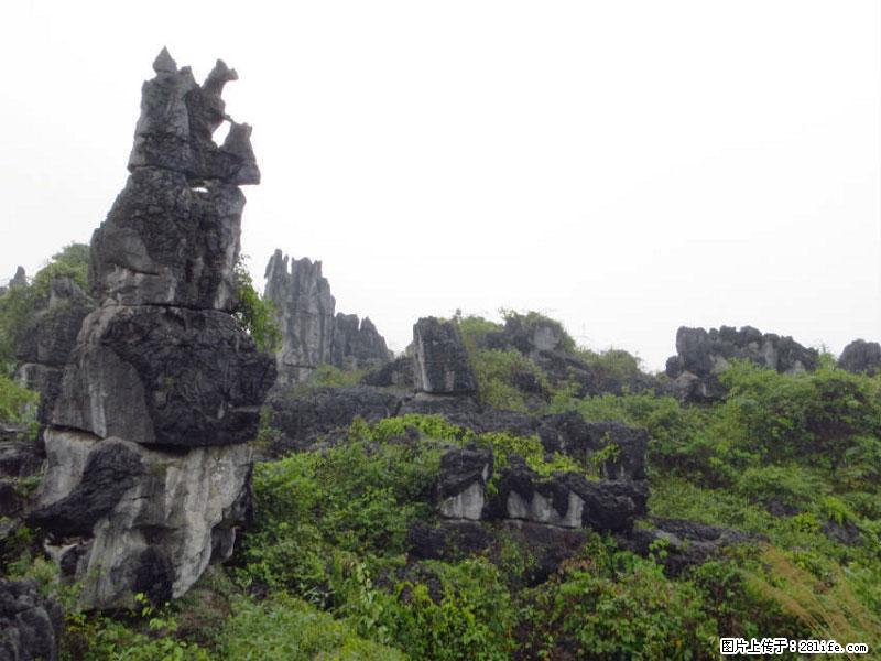 桂林旅游名城景点：灌阳文市石林 - 游山玩水 - 贵阳生活社区 - 贵阳28生活网 gy.28life.net