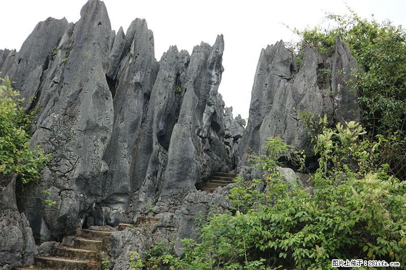 桂林旅游名城景点：灌阳文市石林 - 游山玩水 - 贵阳生活社区 - 贵阳28生活网 gy.28life.net