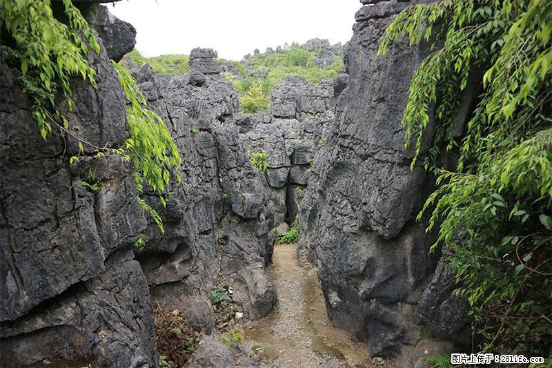 桂林旅游名城景点：灌阳文市石林 - 游山玩水 - 贵阳生活社区 - 贵阳28生活网 gy.28life.net