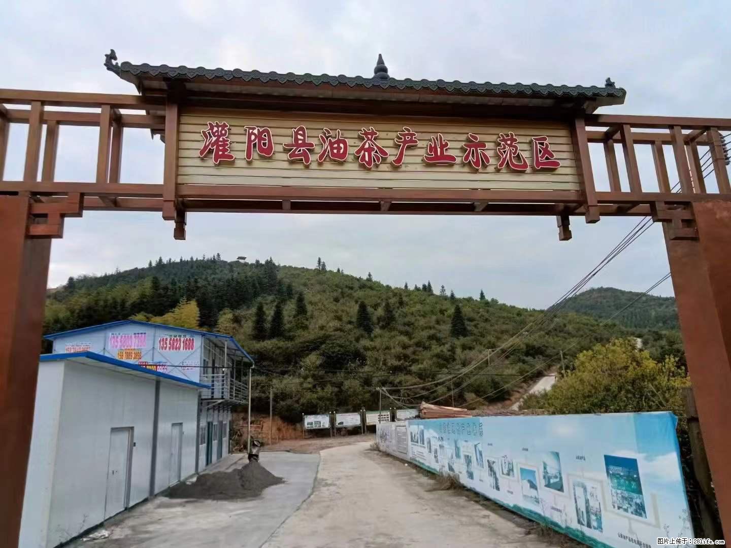【灌阳县油茶产业示范区】一个有着充实的精神生活的人，对待身外之物自会有一种淡泊的态度 - 美食天地 - 贵阳生活社区 - 贵阳28生活网 gy.28life.net