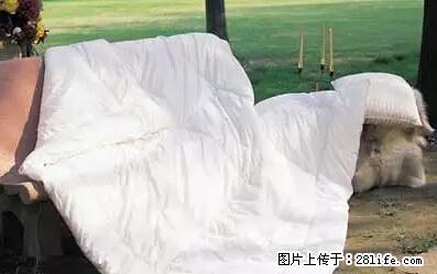 被子有异味？只要这样做，比晒太阳还强100倍！ - 家居生活 - 贵阳生活社区 - 贵阳28生活网 gy.28life.net