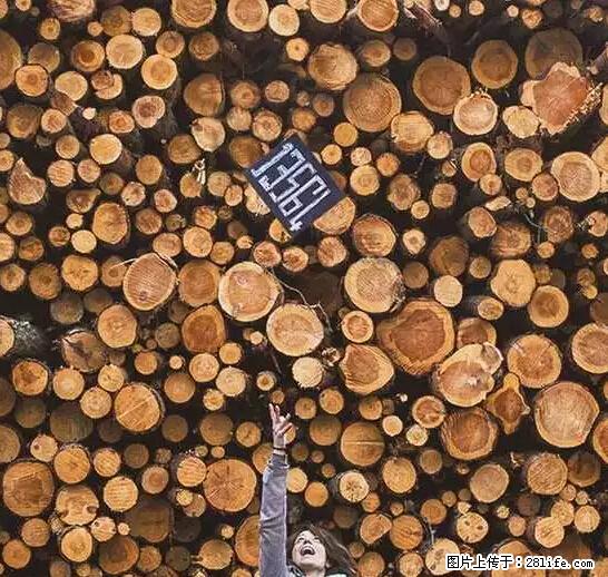 辞掉工作周游世界？现在他们在洗厕所…… - 游山玩水 - 贵阳生活社区 - 贵阳28生活网 gy.28life.net