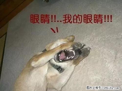 笑癫了！一女的怀孕三年未生，他终于忍不住了... - 娱乐八卦 - 贵阳生活社区 - 贵阳28生活网 gy.28life.net