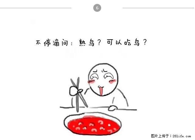千万不要和这9种哈卵一起吃火锅！ - 美食天地 - 贵阳生活社区 - 贵阳28生活网 gy.28life.net