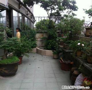 大露台 亨特国际对面文昌第居商.住5室2厅226平仅租1万 - 贵阳28生活网 gy.28life.net
