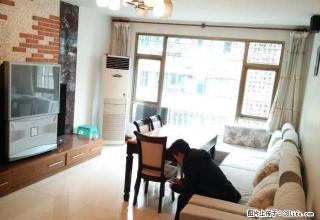 延安西路 汇金国际广场对门精装3室急租 家具齐全拎包入住 - 贵阳28生活网 gy.28life.net