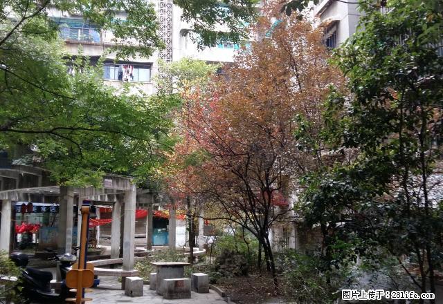 大南门星力百货 邮电大楼全林步行街1室1厅1250元3楼 - 房屋出租 - 房屋租售 - 贵阳分类信息 - 贵阳28生活网 gy.28life.net
