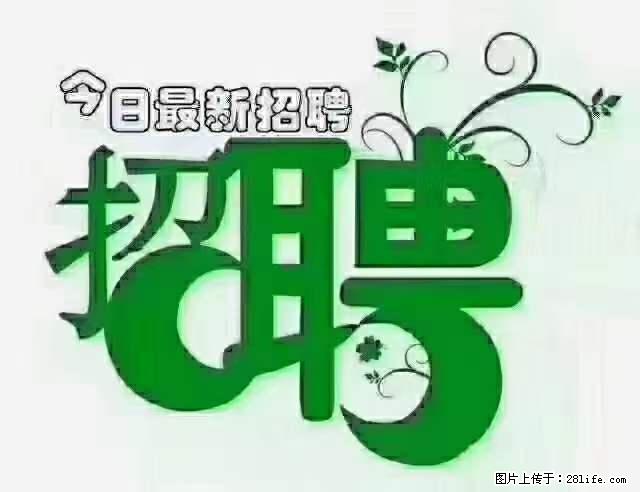 上海隔离酒店招人：55岁以下 男女不限 - 职场交流 - 贵阳生活社区 - 贵阳28生活网 gy.28life.net