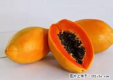 晕车、脚气、牙齿变黄、皮肤粗糙？学会这些三分钟搞定！ - 贵阳生活资讯 - 贵阳28生活网 gy.28life.net