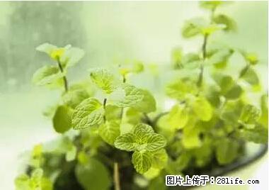 晕车、脚气、牙齿变黄、皮肤粗糙？学会这些三分钟搞定！ - 贵阳生活资讯 - 贵阳28生活网 gy.28life.net