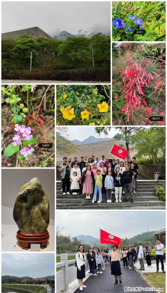 “粤灌文化 美好生活”油茶文化主题活动在广东深圳成功举办 - 贵阳生活资讯 - 贵阳28生活网 gy.28life.net