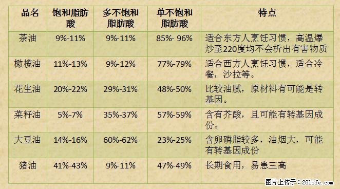 揭秘茶油的5大核心营养成分！被称为人体健康的“守护盾”！ - 贵阳生活资讯 - 贵阳28生活网 gy.28life.net