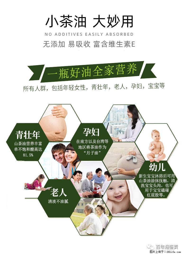 世界没有真相，只有认知，最好的食用油是中国的山茶油！ - 贵阳生活资讯 - 贵阳28生活网 gy.28life.net