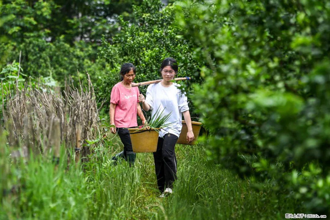 全网追的“扁担女孩”，找了一份暑假工，时薪12元 - 贵阳生活资讯 - 贵阳28生活网 gy.28life.net