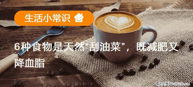 【生活小常识】6种食物是天然“刮油菜”，既减肥又降血脂 - 贵阳生活资讯 - 贵阳28生活网 gy.28life.net