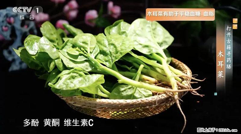 比牛奶补钙还厉害！凉血解毒、稳血糖...这菜冬天必吃，很多人却当草 - 贵阳生活资讯 - 贵阳28生活网 gy.28life.net