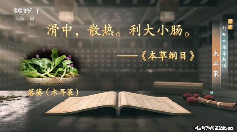 比牛奶补钙还厉害！凉血解毒、稳血糖...这菜冬天必吃，很多人却当草 - 贵阳生活资讯 - 贵阳28生活网 gy.28life.net
