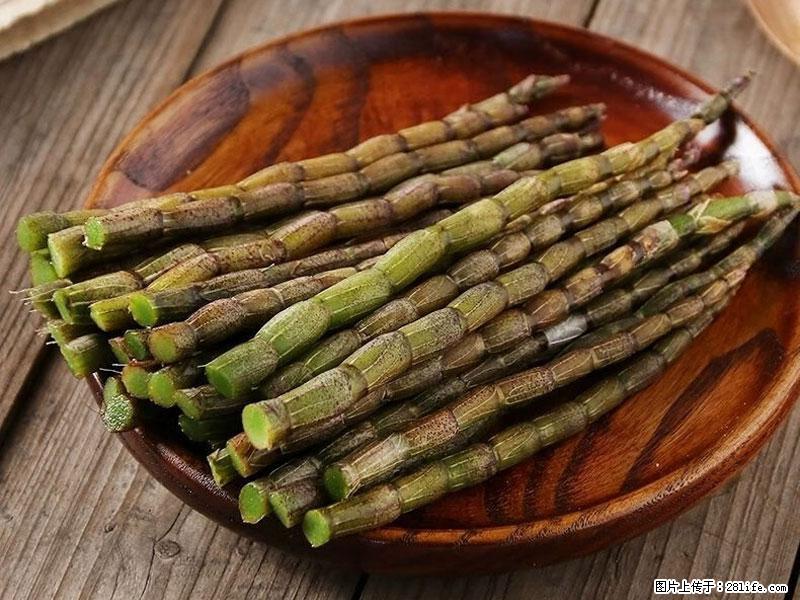铁皮石斛的作用与功能主治 - 贵阳生活资讯 - 贵阳28生活网 gy.28life.net