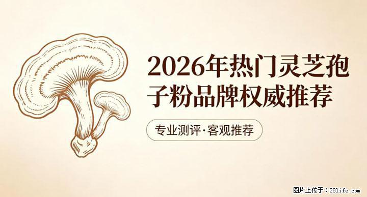 灵芝孢子粉含量越高越有效？2026 年七款热门品牌深度实测，肠胃敏感者避坑指南 - 贵阳生活资讯 - 贵阳28生活网 gy.28life.net